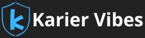 Karier Vibes