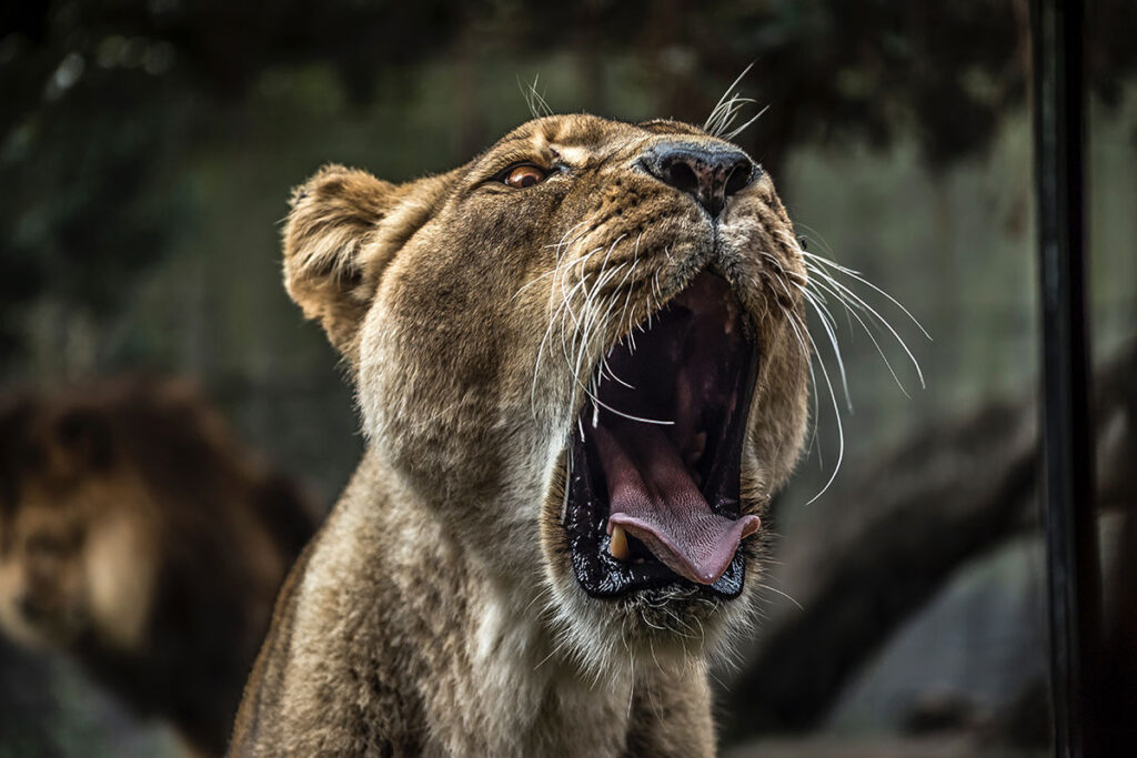 How To Use Basic Design Principles To Decorate Your Home 16 1024x683